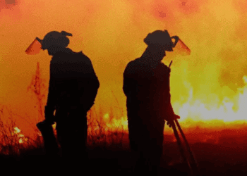 España enfrenta ola histórica de incendios forestales