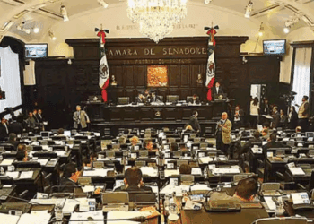 Senadores alcanzan sueldos récord en plena austeridad