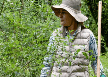 Definen a 26 aspirantes finales para dirigir la Comisión Nacional de Búsqueda