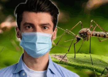 Día Internacional contra el Dengue: síntomas, riesgos y medidas de prevención