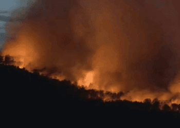Incendio descontrolado en el sur de Francia arrasa 8 mil hectáreas y cierra autopista