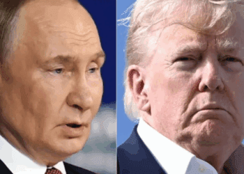 Trump alista encuentros con Putin y Zelenski tras contactos clave en Europa