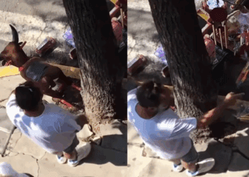 Lord Banquetas agrede a vendedor y desata debate sobre abuso de poder