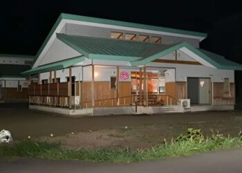 Oso hiere gravemente a mujer en Japón