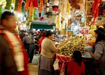 Mujeres de 60 a 64 años pueden acceder a pensión de $3 mil al mes: así puedes registrarte