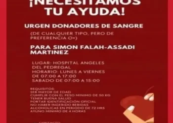 Niño, grave por pelotazo en juego de los Diablos Rojos