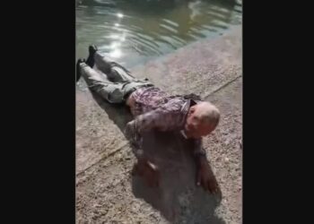 Rescatan a hombre de 87 años de un cocodrilo en Tampico; había desaparecido en San Luis Potosí