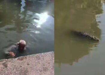 Youtuber rescata a anciano de ataque de cocodrilo en Tampico