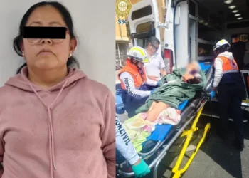 Detenida tras ataque de su perro a una abuelita