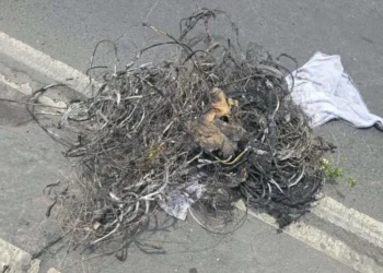 Detienen a 2 hombres por quemar cable en Iztapalapa