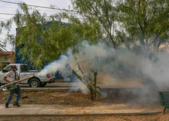 Se registran 16 fallecimientos por dengue en una semana; suman 48 en lo que va del año