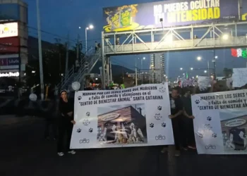 Liberan a detenidos tras protesta en Santa Catarina, NL