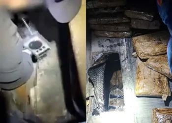 Gabinete de Seguridad asegura 48 kilos de heroína y fentanilo