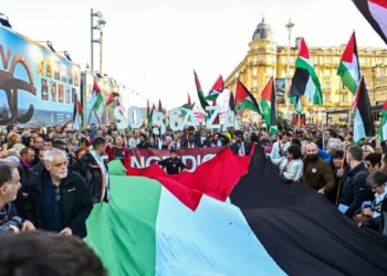 Juez en Boston declara ilegales arrestos de estudiantes pro-palestinos