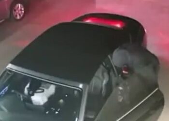 Hombre ladra y espanta a ladrones en Australia