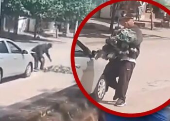 Ofrecen recompensa por captura ilegal de palomas en Iguala