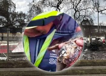 Celular calcinado permite contacto en medio de tragedia en Iztapalapa