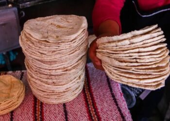 Concurso de tortillas en CDMX premiará con hasta 5 mil pesos