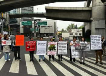 Vecinos denuncian ecocidio por megaproyecto en Álvaro Obregón