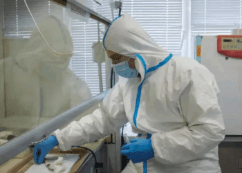 Delphi-2M: la IA que predice más de mil enfermedades con años de anticipación