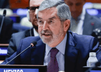Juan Ramón de la Fuente llama en la ONU a fortalecer democracia, multilateralismo y respeto a migrantes