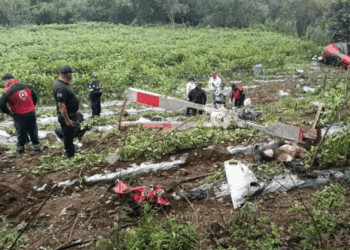 Helicóptero se desploma en Edomex y deja dos muertos