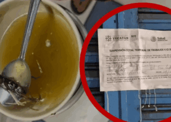 Menor hospitalizada tras hallar ratón en caldo de restaurante yucateco