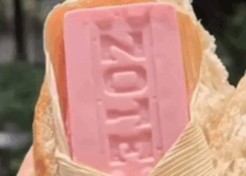 El TamalZote, la creación viral que mezcla tradición y humor en la CDMX