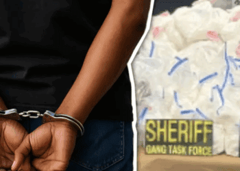 DEA intensifica ofensiva contra el CJNG con cientos de arrestos