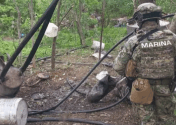 Semar asegura 21 toneladas de metanfetaminas en Durango