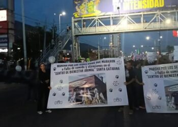 Detienen a cuatro en protesta por maltrato animal en Nuevo León