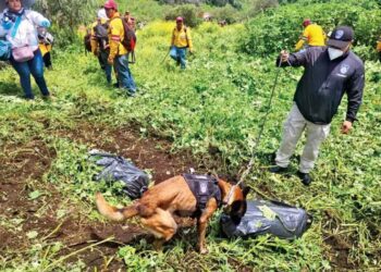 Restos hallados en la GAM corresponden a una joven de 25 años