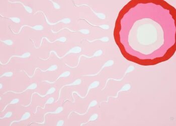 Crean óvulos humanos a partir de células de la piel