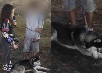 Husky salva a su dueño de la explosión en Iztapalapa