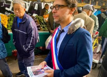 Ratas en París: entre su papel ecológico y la polémica por su control