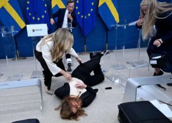 Nueva ministra de Salud sueca se desmaya en conferencia inaugural