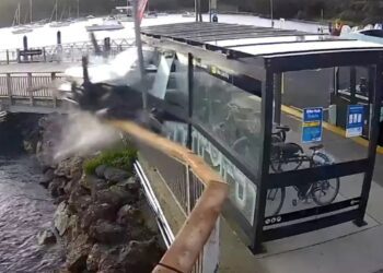 Conducía ebria y cayó con su camioneta al mar en Nueva Zelanda