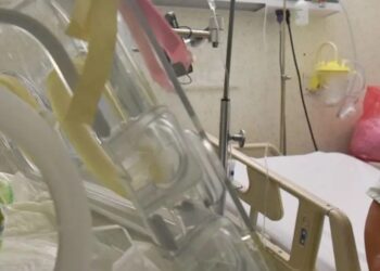 Muertes por tos ferina suben a 65 en México; mayoría en bebés sin vacuna