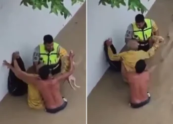 Rescatan a un adulto mayor y a sus 13 perritos