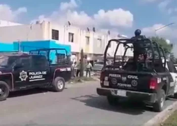 Salvan a león desnutrido en casa de Nuevo León