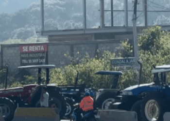 Bloqueos de Campesinos en Jalisco por Maíz: Cientos de afectados por protestas en carreteras; exigen $7,000 por tonelada