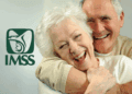 Pensión del IMSS en 2026 Requisitos: Edad, semanas y diferencias clave entre Ley 73 y Ley 97