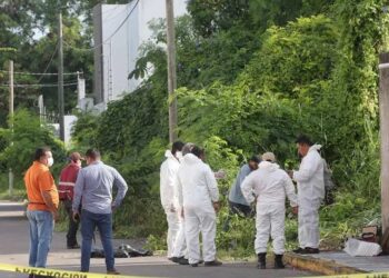 Fraude de Crematorio de Mascotas en Chetumal: Cobraban casi $3 mil por cenizas y daban arena