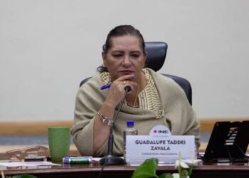 Guadalupe Taddei participará en audiencia sobre reforma electoral