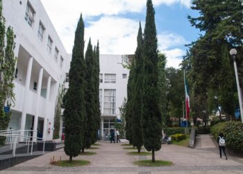 El CIDE y la provocación como estrategia de poder