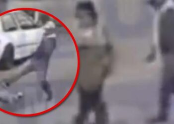 Hombre agrede a abuelita y su perrita en Aguascalientes