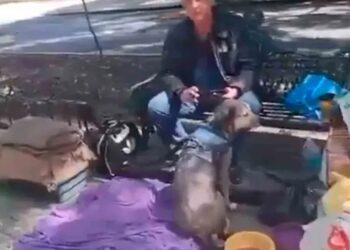 Alejandro Landero aclara su situación y agradece la solidaridad