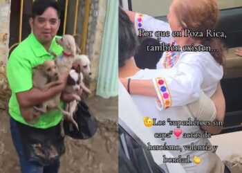 Joven se vuelve héroe al rescatar personas y mascotas en Poza Rica
