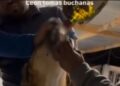Le dan whisky a un perro y ahora enfrentarán la ley