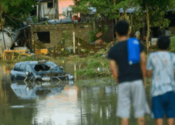 Aumenta a 37 el número de muertos por lluvias en el país